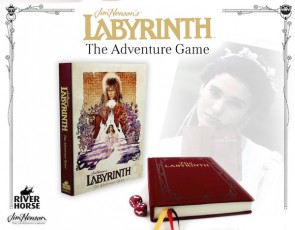 The Labyrinth Adventure Game
